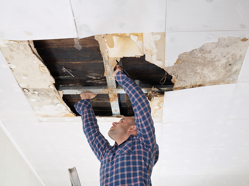 Mann untersucht einen Wasserschaden an der Decke mit ge&ouml;ffneten Deckenplatten und Schimmelspuren